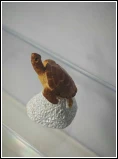Sea Turtle Resin Figurine suppliers